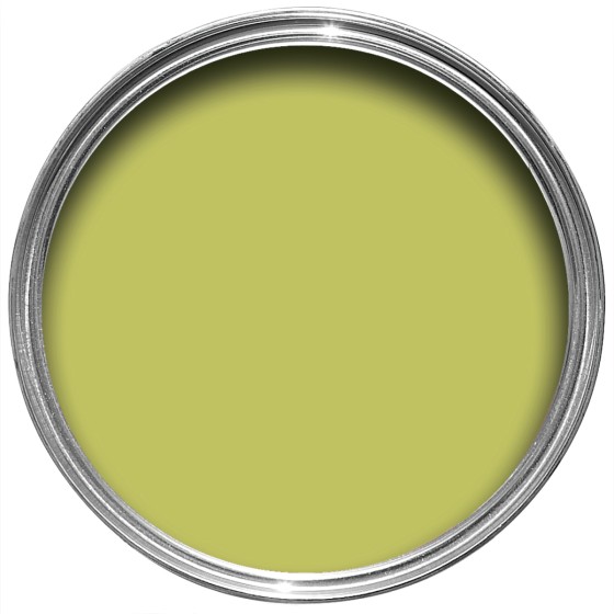 Farrow & Ball Paint 5L Flat Eggshell Acid Drop No.9908